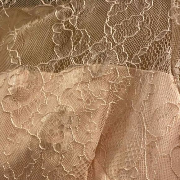 Kay Unger Soft Floral Lace Gown Dress - Picture 5 of 13